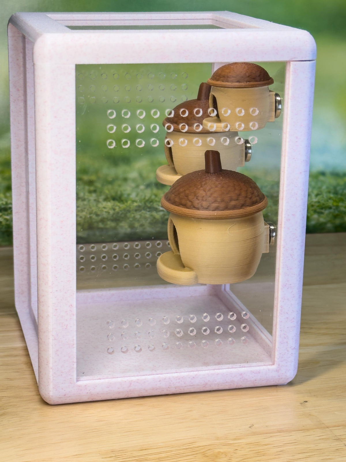 Jumping spider enclosure Acorn Hide