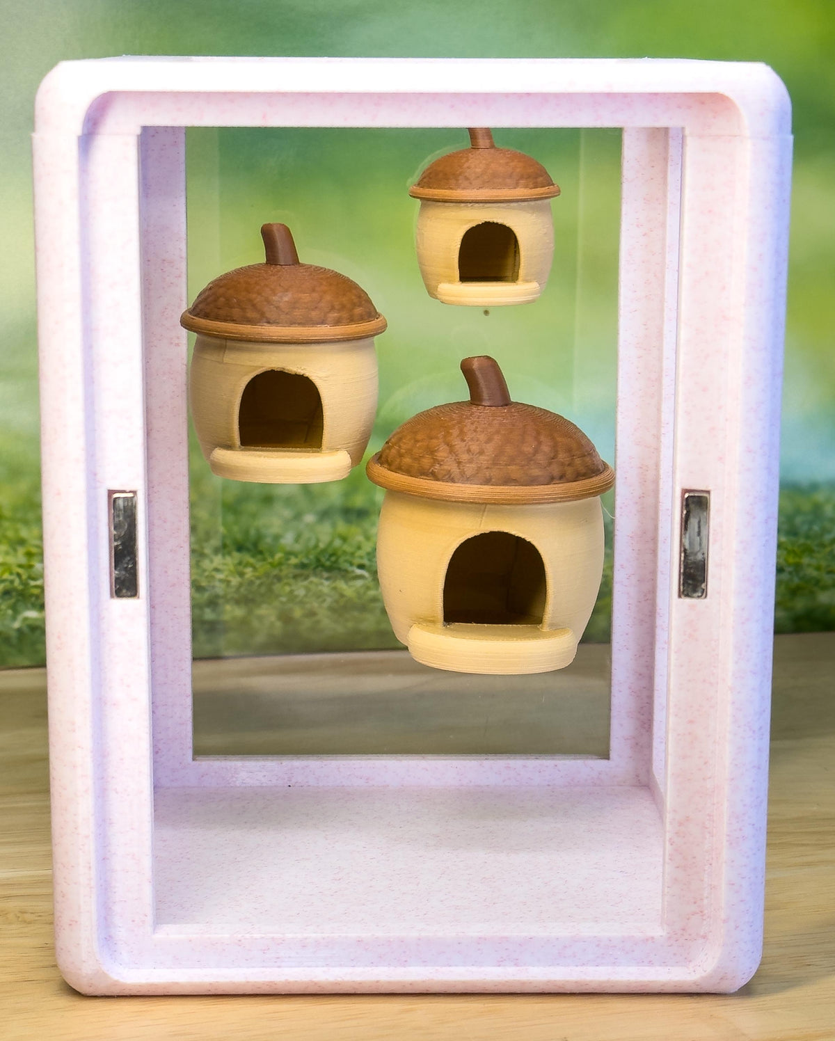 Jumping spider enclosure Acorn Hide
