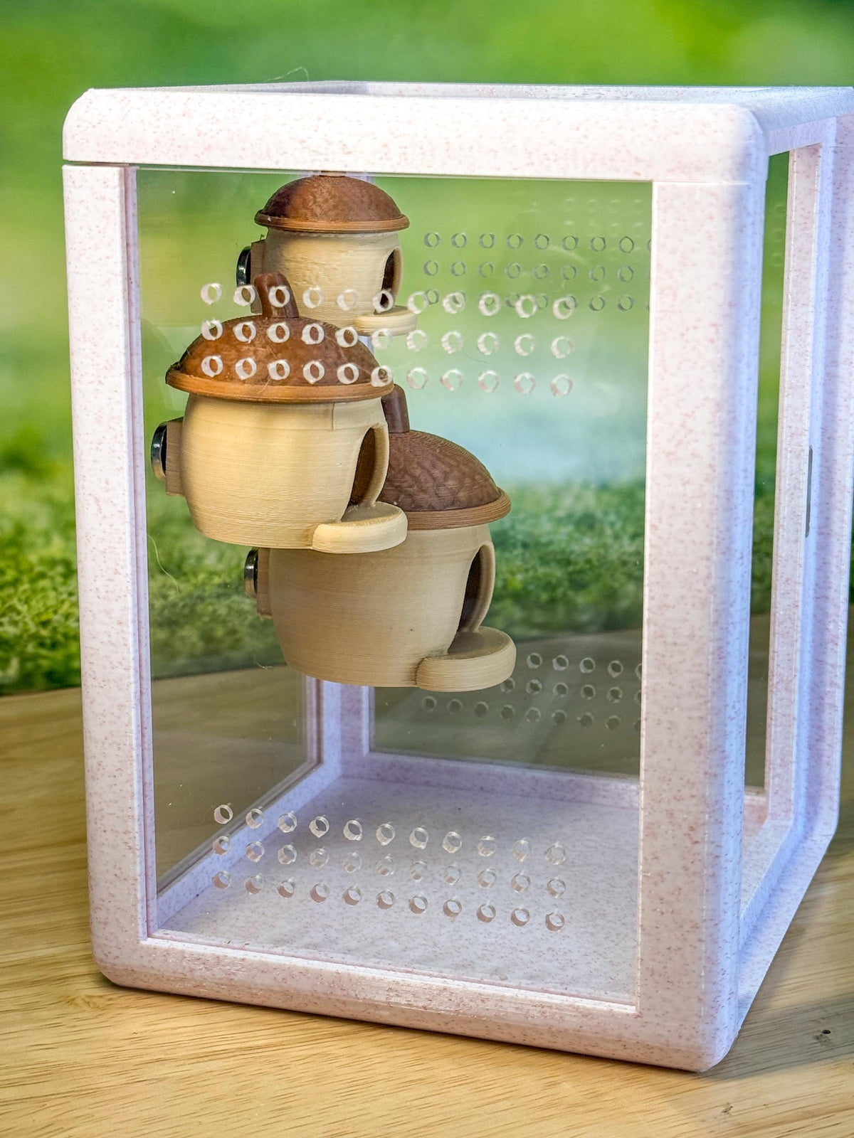Jumping spider enclosure Acorn Hide