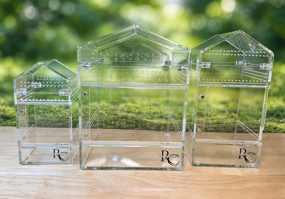 Decorated Acrylic Jumping Spider Enclosure, Magnetic Top and Front Opening Habitat, small, medium, and large