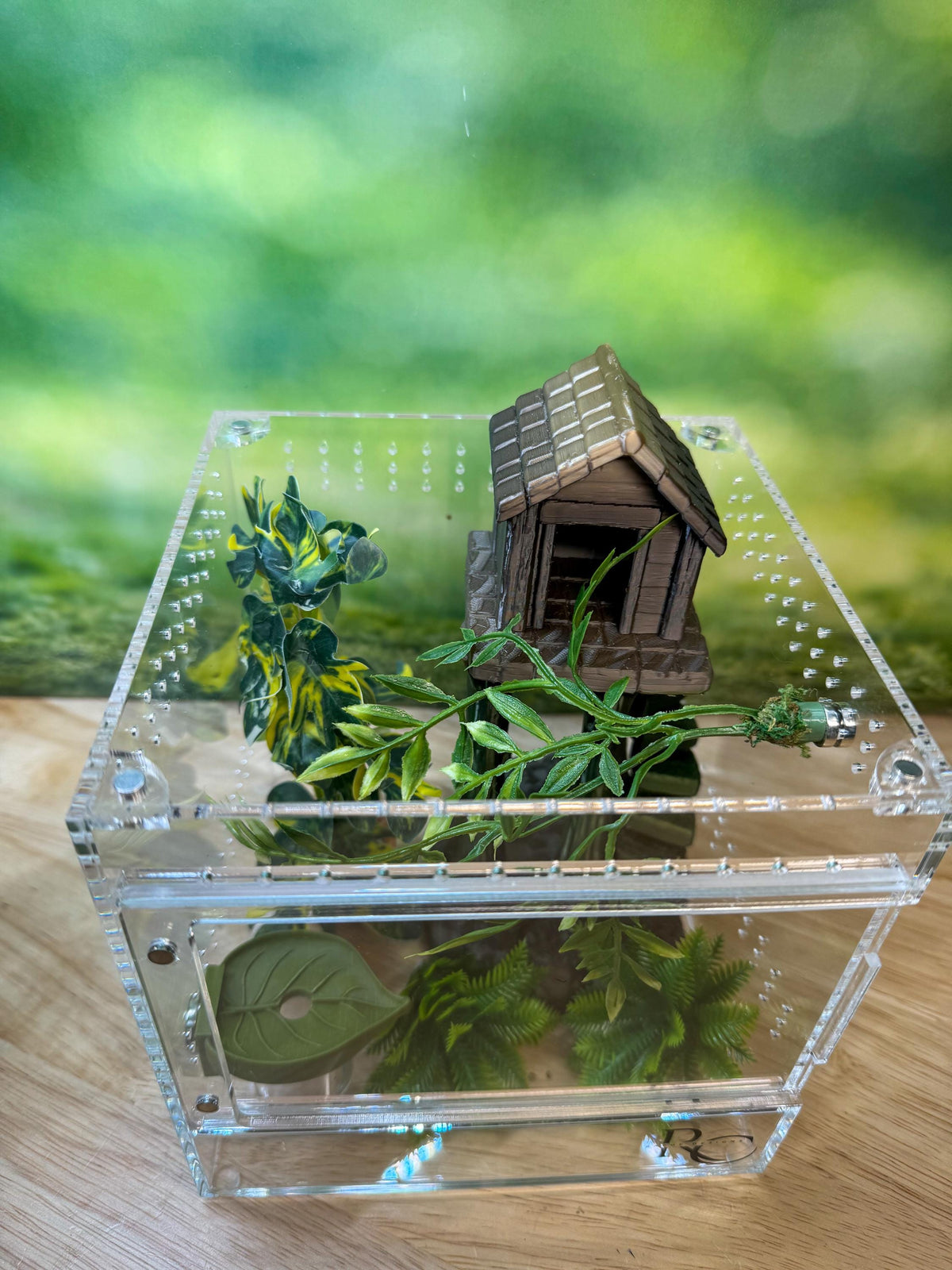 Decorated Acrylic Jumping Spider Enclosure, Magnetic Top and Front Opening Habitat, small, medium, and large