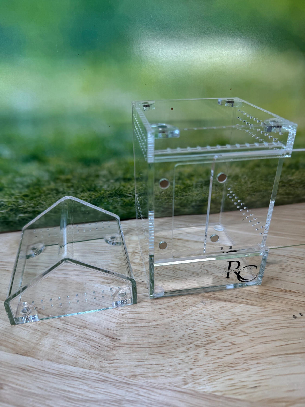Decorated Acrylic Jumping Spider Enclosure, Magnetic Top and Front Opening Habitat, Small, 3x3x6