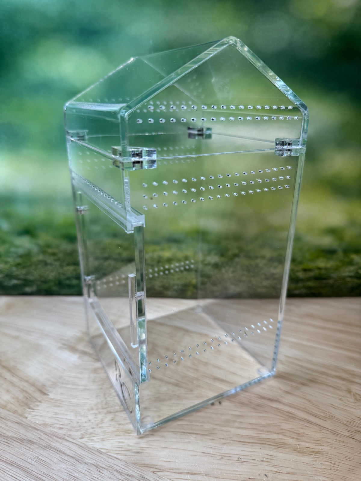 Decorated Acrylic Jumping Spider Enclosure, Magnetic Top and Front Opening Habitat, Medium, 4x4x8