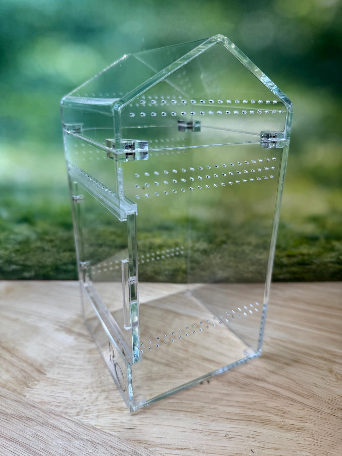 Decorated Acrylic Jumping Spider Enclosure, Magnetic Top and Front Opening Habitat, Large, 5.75x5.75x8