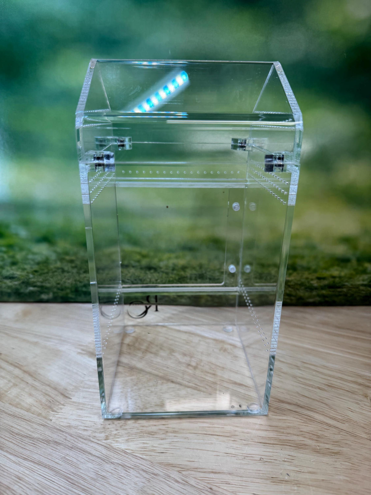 Decorated Acrylic Jumping Spider Enclosure, Magnetic Top and Front Opening Habitat, Large, 5.75x5.75x8
