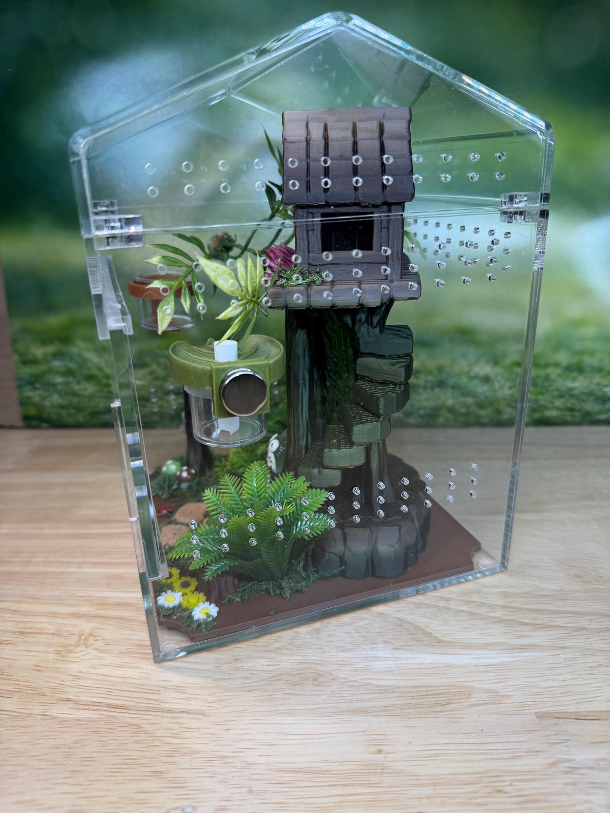 Decorated Acrylic Jumping Spider Enclosure, Magnetic Top and Front Opening Habitat, Large, 5.75x5.75x8