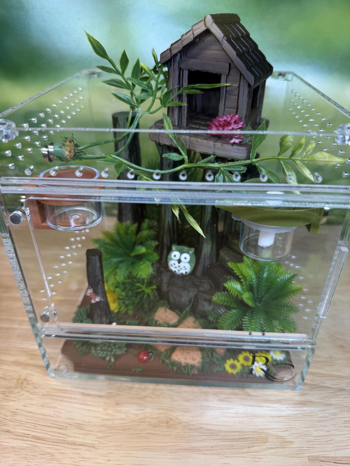 Decorated Acrylic Jumping Spider Enclosure, Magnetic Top and Front Opening Habitat, Large, 5.75x5.75x8
