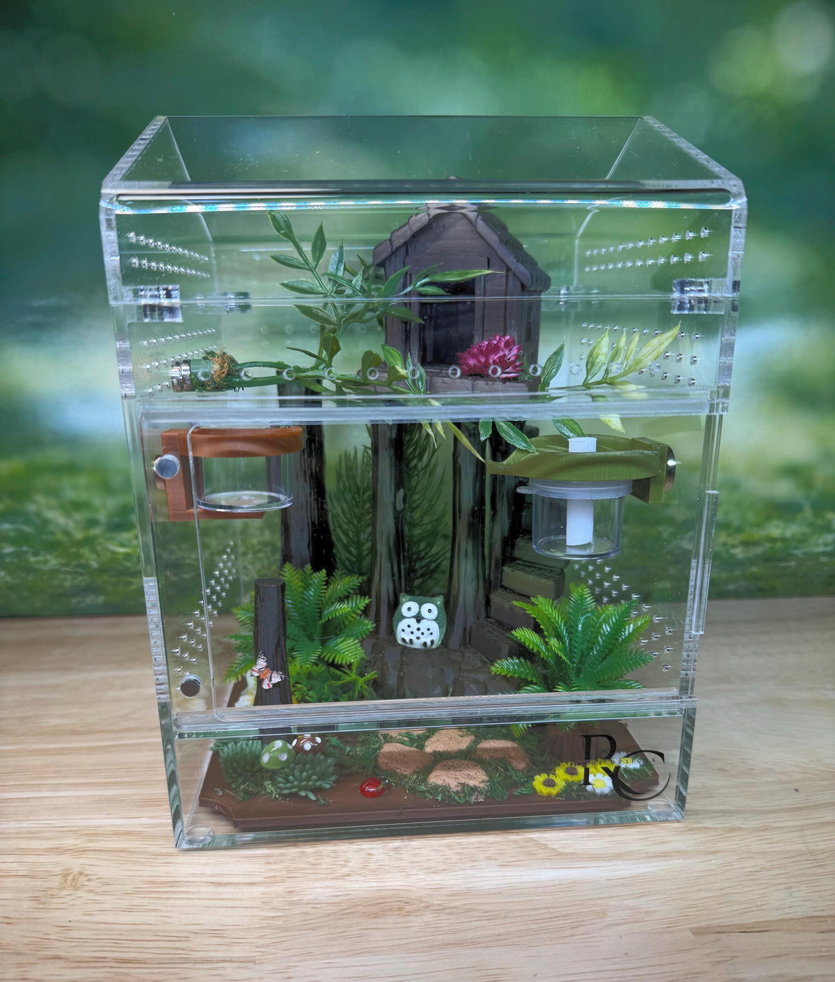 Decorated Acrylic Jumping Spider Enclosure, Magnetic Top and Front Opening Habitat, Large, 5.75x5.75x8