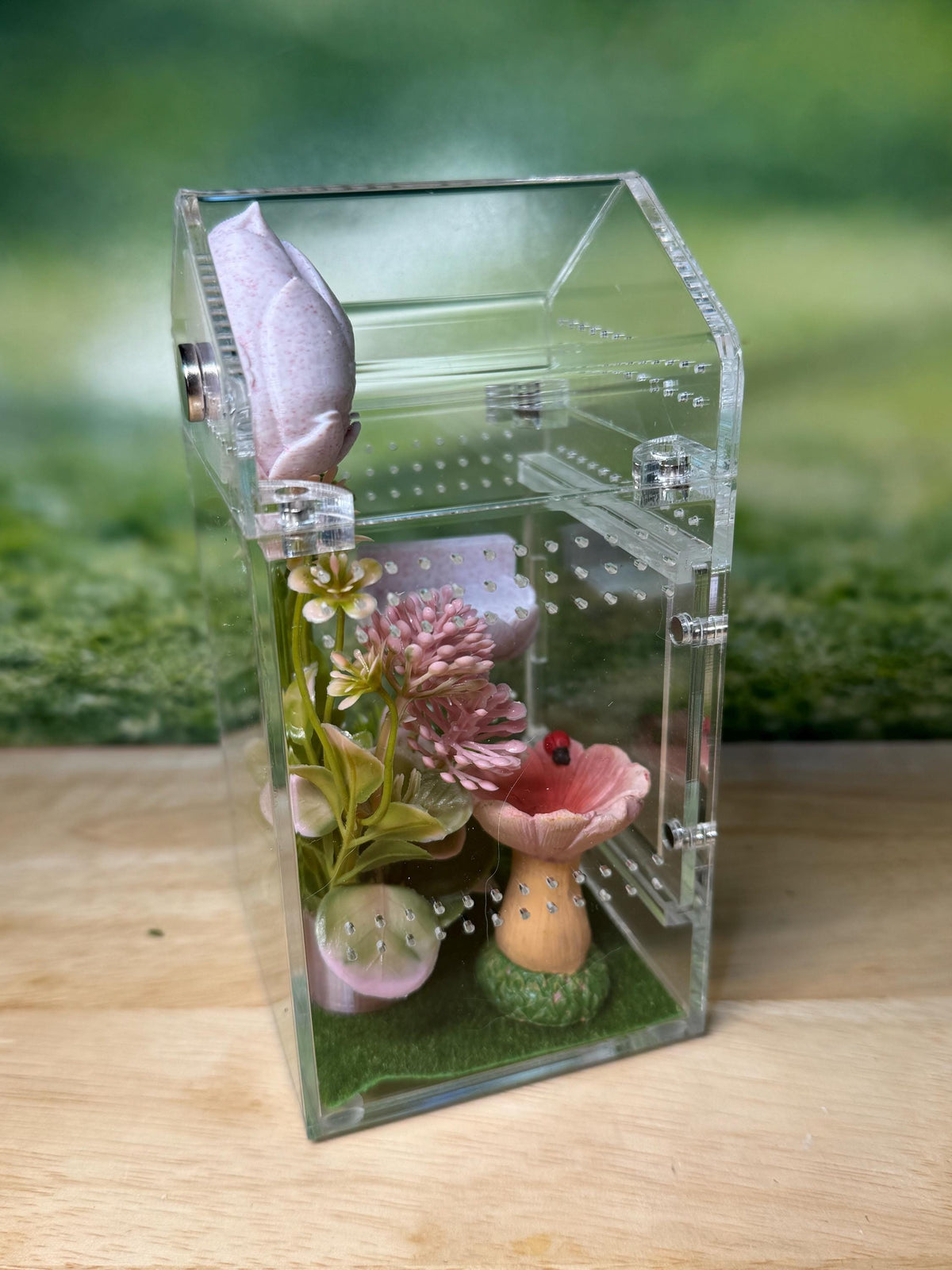 Decorated Acrylic Jumping Spider Enclosure, Magnetic Top and Front Opening Habitat, Small, 3x3x6