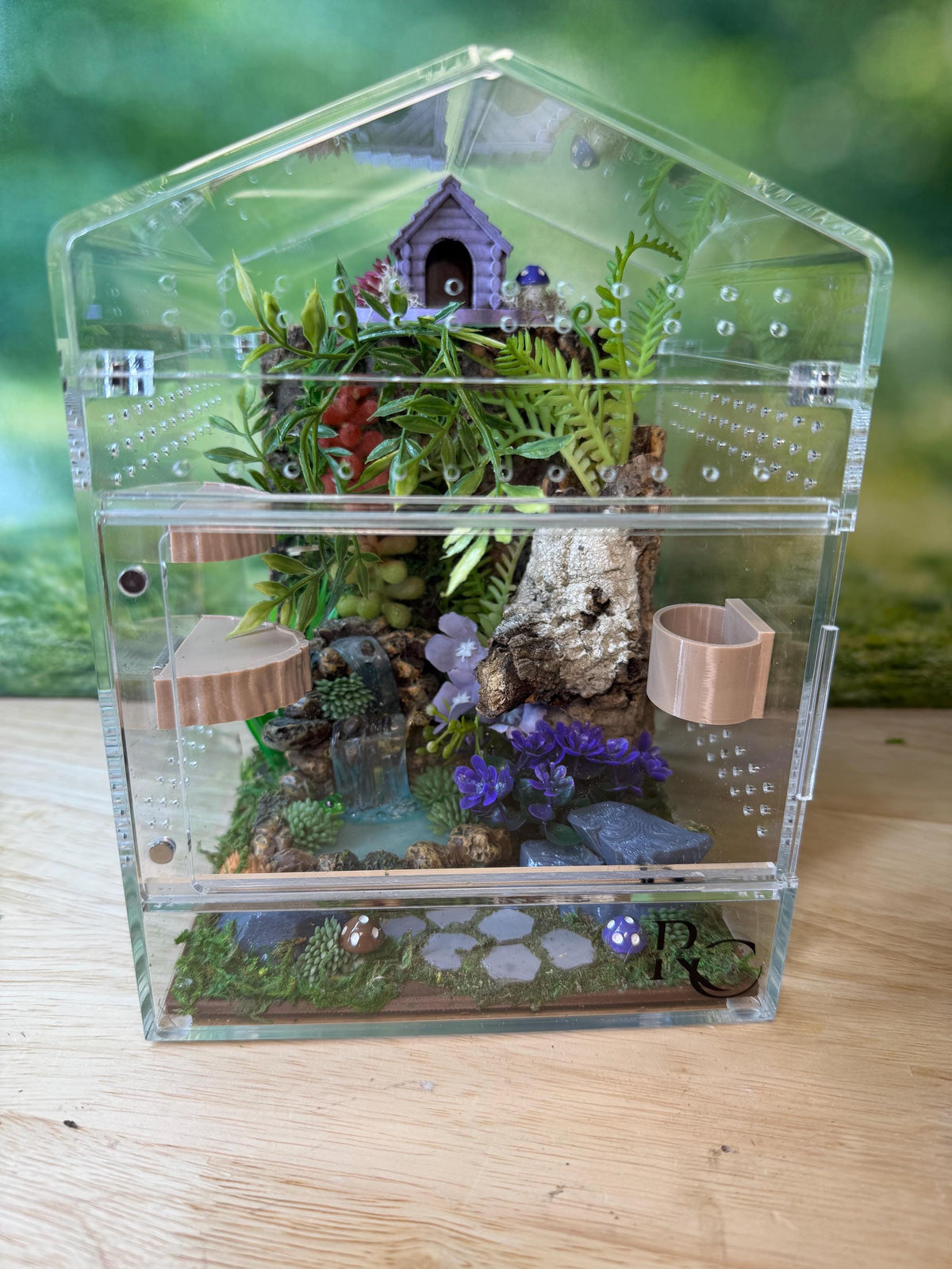 Decorated Acrylic Jumping Spider Enclosure, Magnetic Top and Front Opening Habitat, Large, 5.75x5.75x8