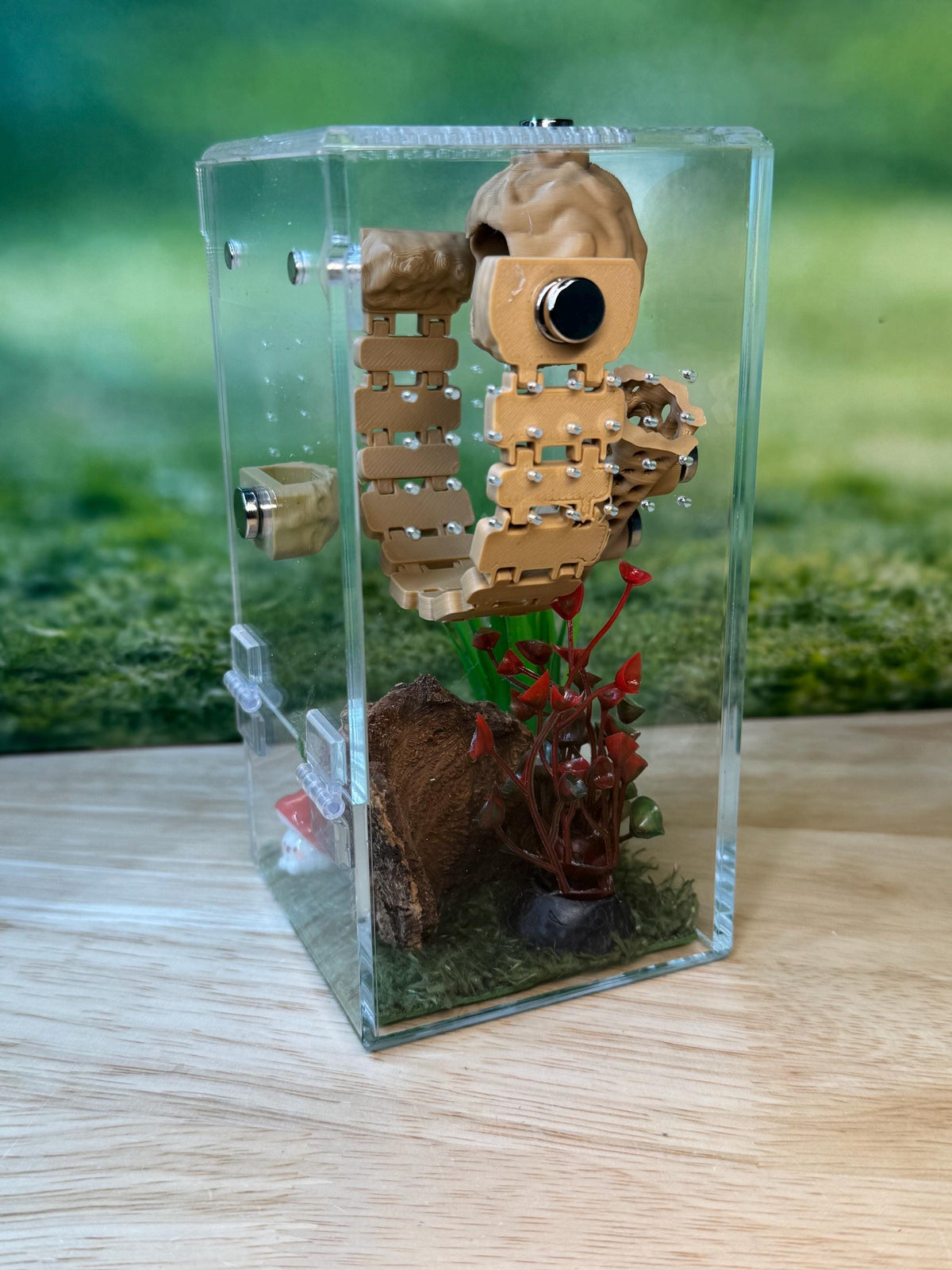 Acrylic Jumping Spider Enclosure, Front Opening Habitat (3x3x6)