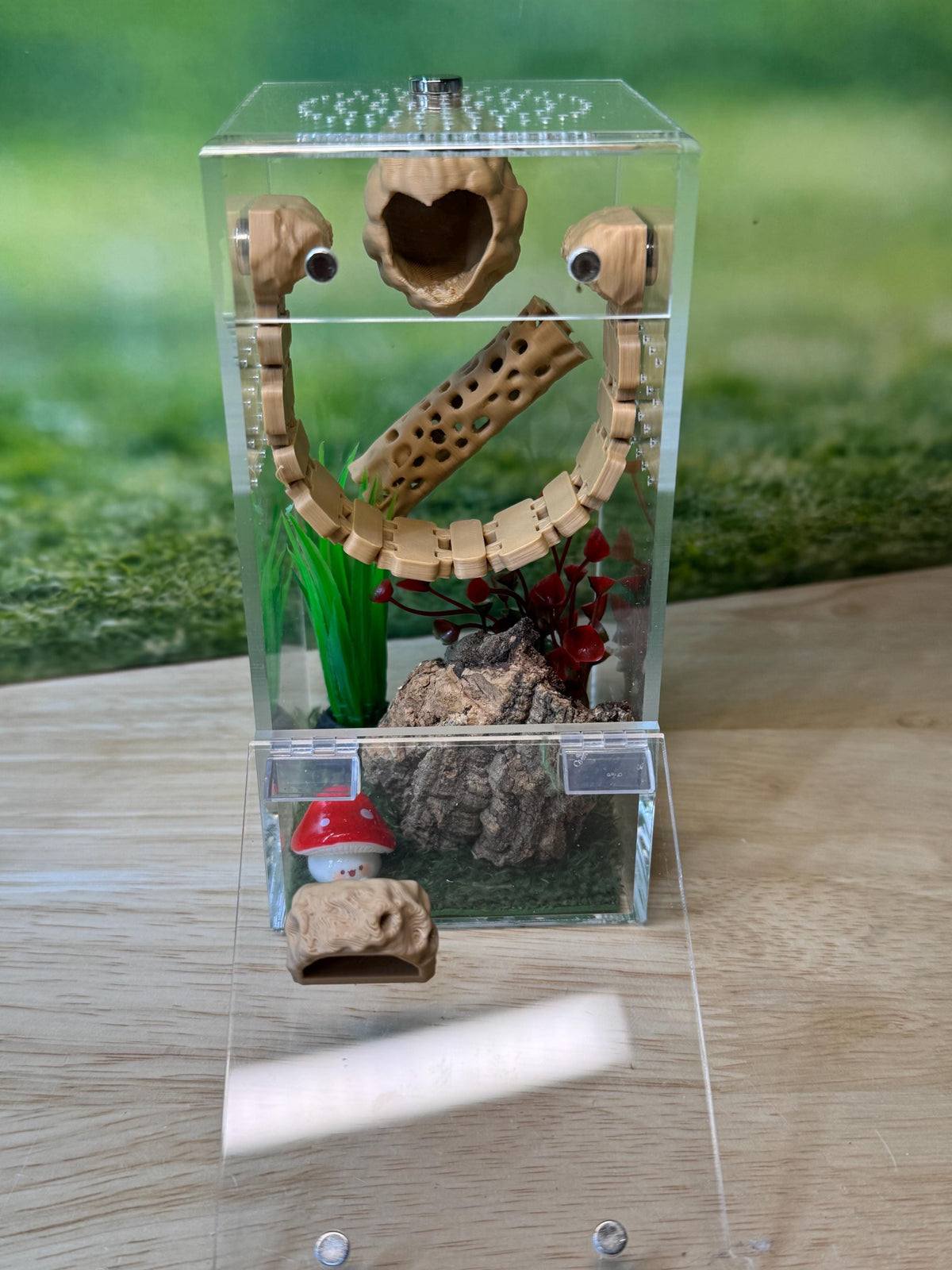 Acrylic Jumping Spider Enclosure, Front Opening Habitat (3x3x6)