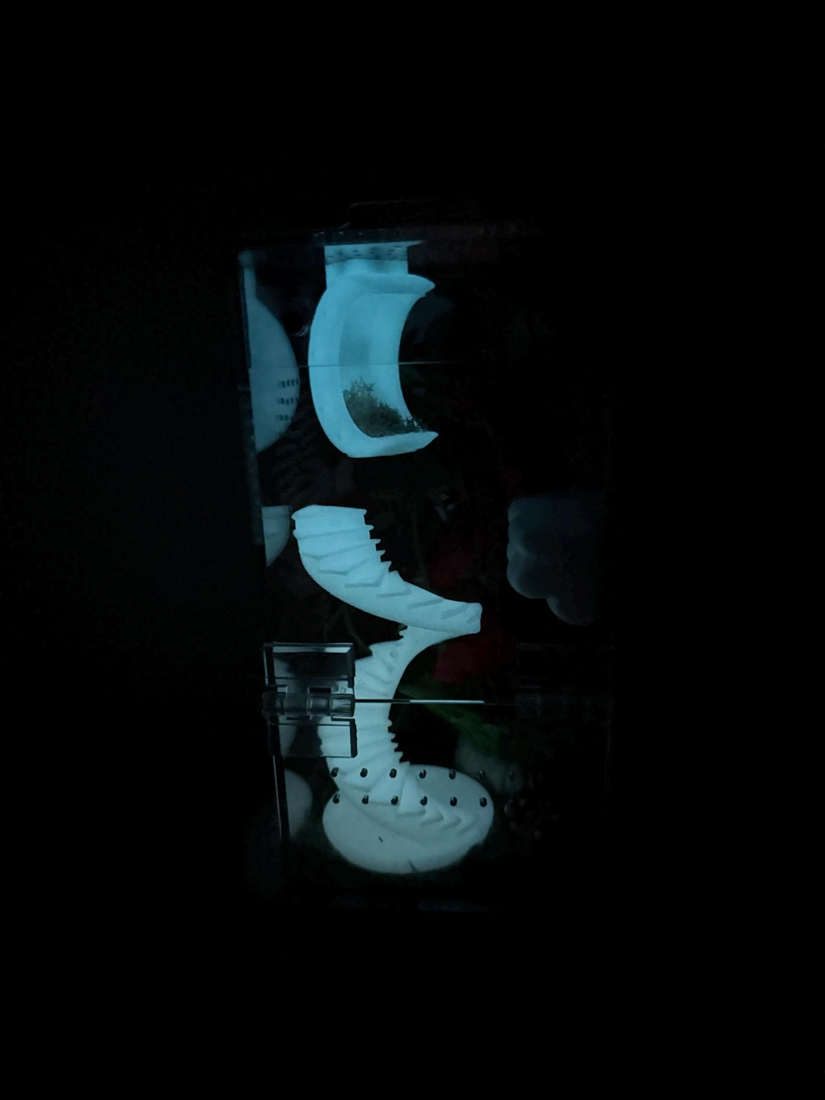 Glow in the dark Acrylic Jumping Spider Enclosure, Front Opening Habitat (3.5x3.5x7)