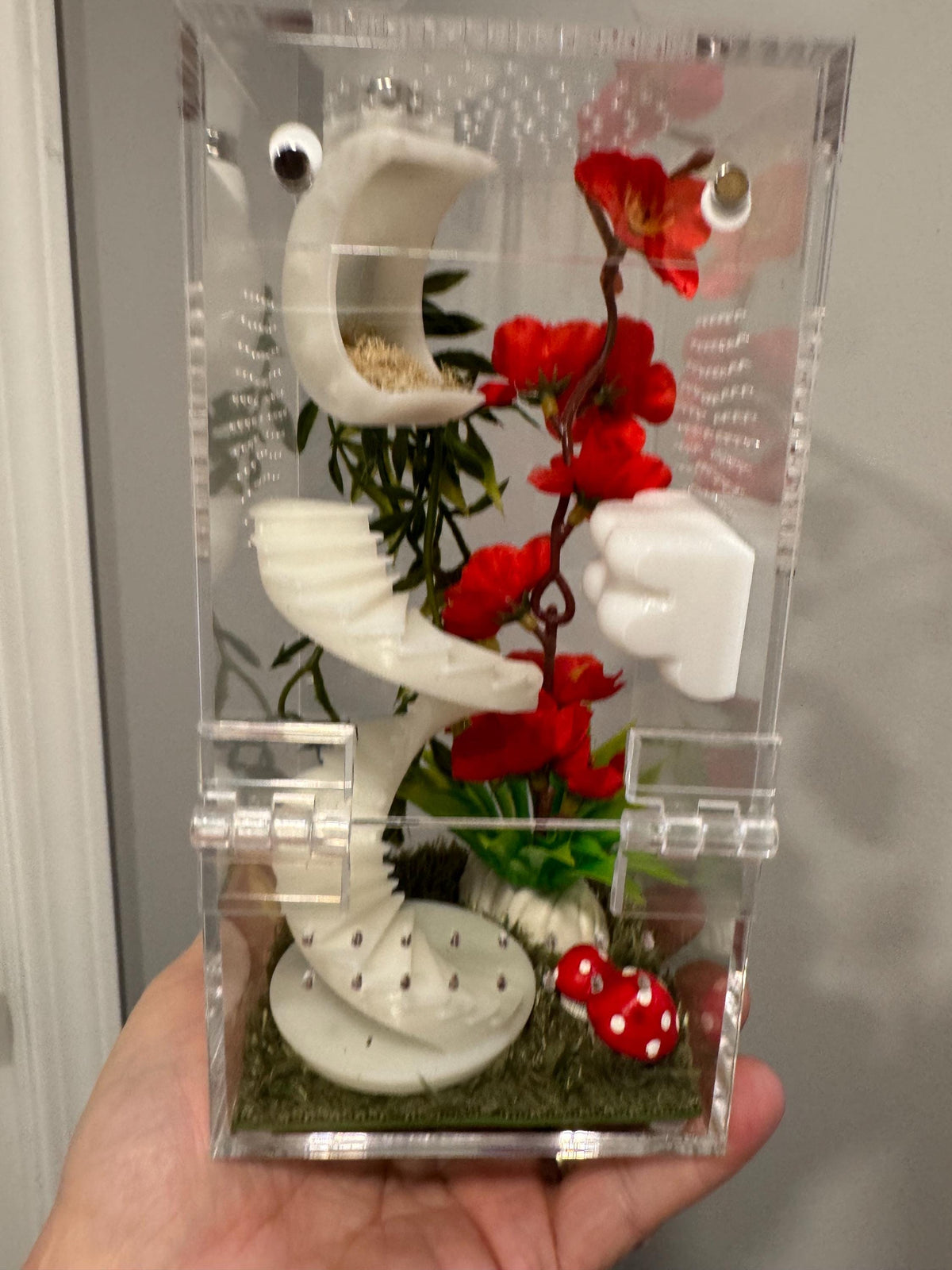 Glow in the dark Acrylic Jumping Spider Enclosure, Front Opening Habitat (3.5x3.5x7)