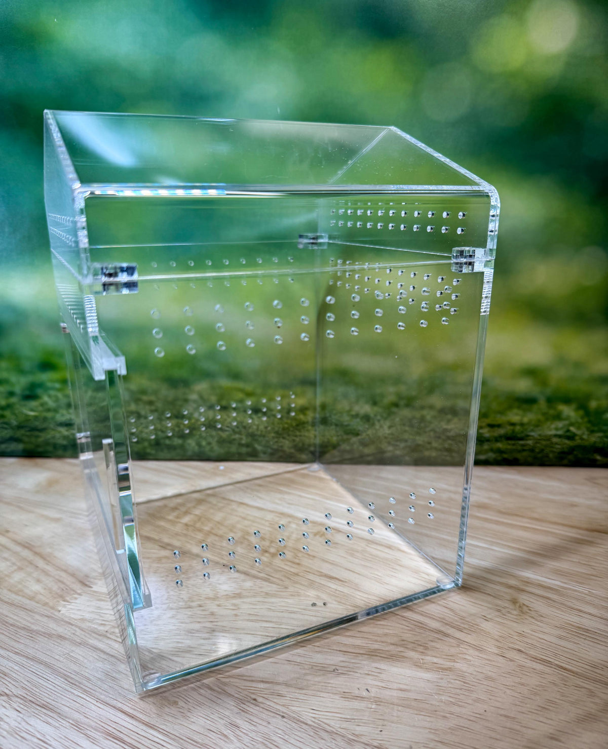 Decorated Acrylic Jumping Spider Enclosure, Magnetic Top and Front Opening Habitat, small, medium, and large