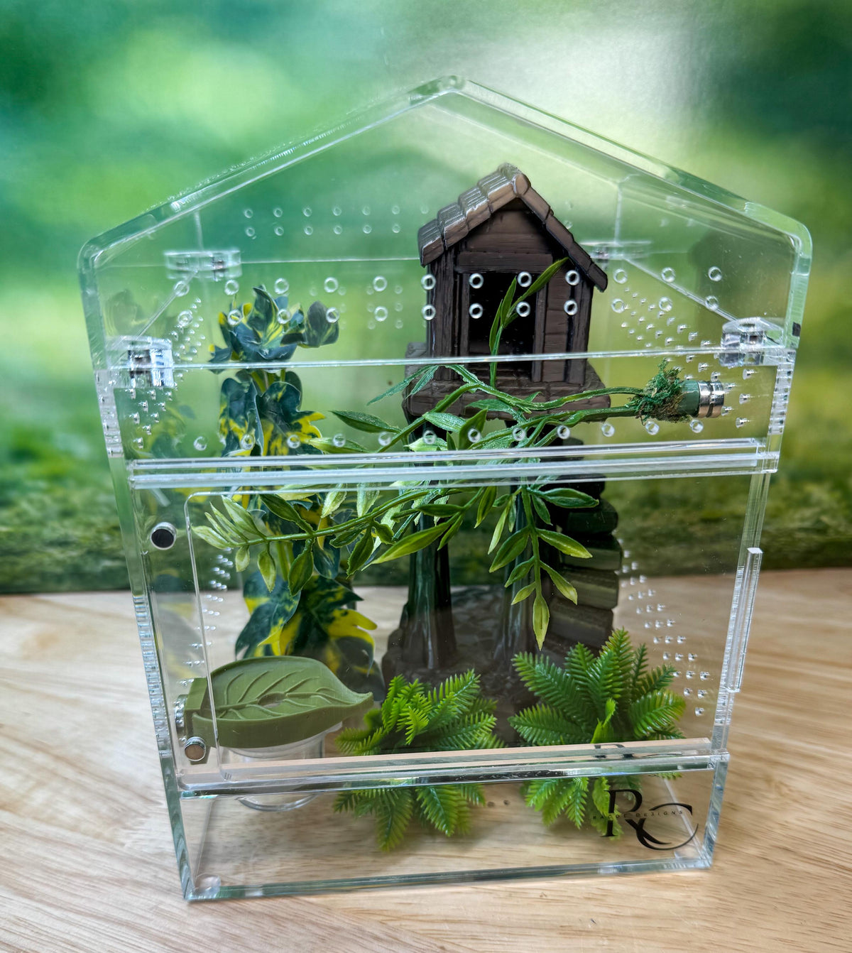 Decorated Acrylic Jumping Spider Enclosure, Magnetic Top and Front Opening Habitat, small, medium, and large
