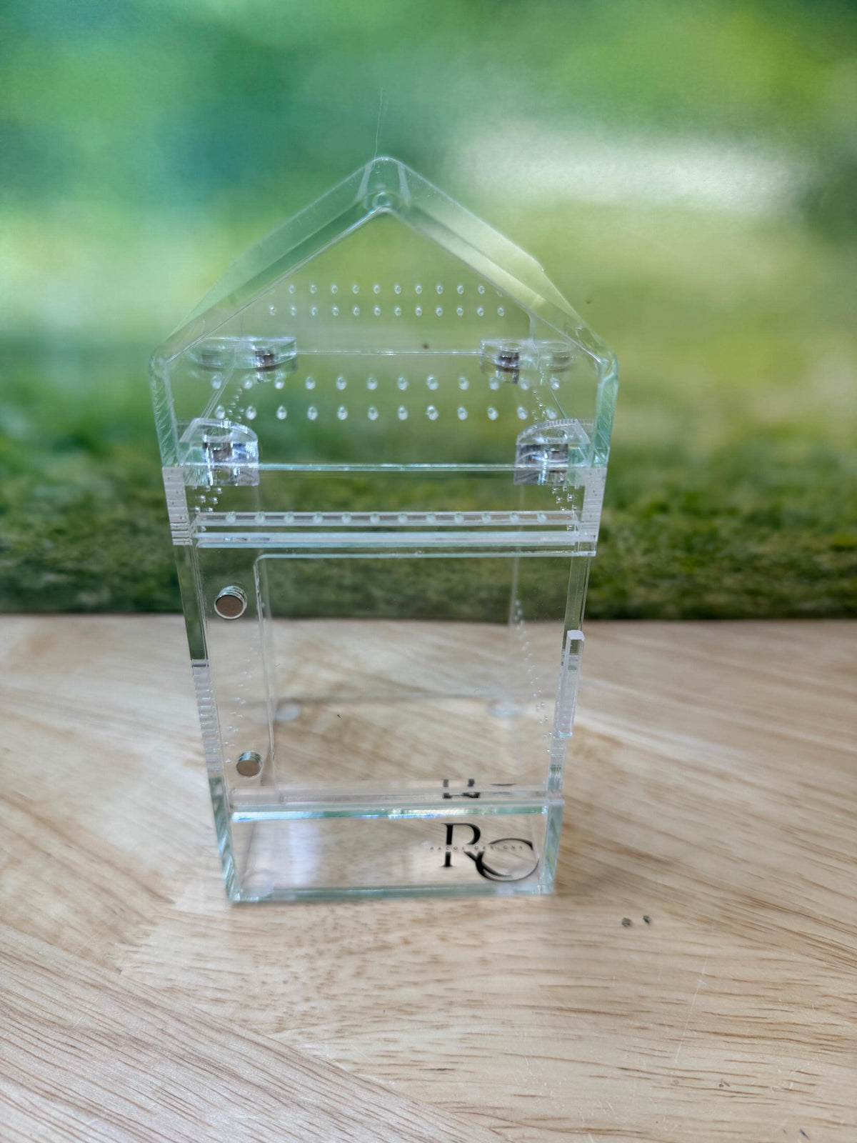 Decorated Acrylic Jumping Spider Enclosure, Magnetic Top and Front Opening Habitat, small, medium, and large