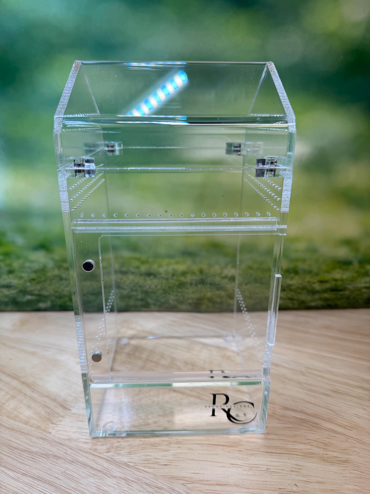 Decorated Acrylic Jumping Spider Enclosure, Magnetic Top and Front Opening Habitat, Large, 5.75x5.75x8