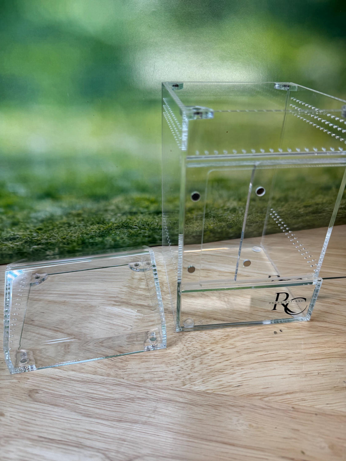 Decorated Acrylic Jumping Spider Enclosure, Magnetic Top and Front Opening Habitat, Medium, 4x4x8