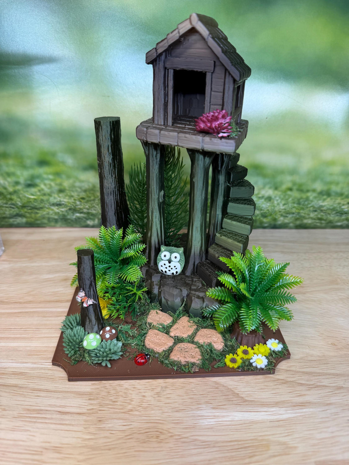 Decorated Acrylic Jumping Spider Enclosure, Magnetic Top and Front Opening Habitat, Large, 5.75x5.75x8