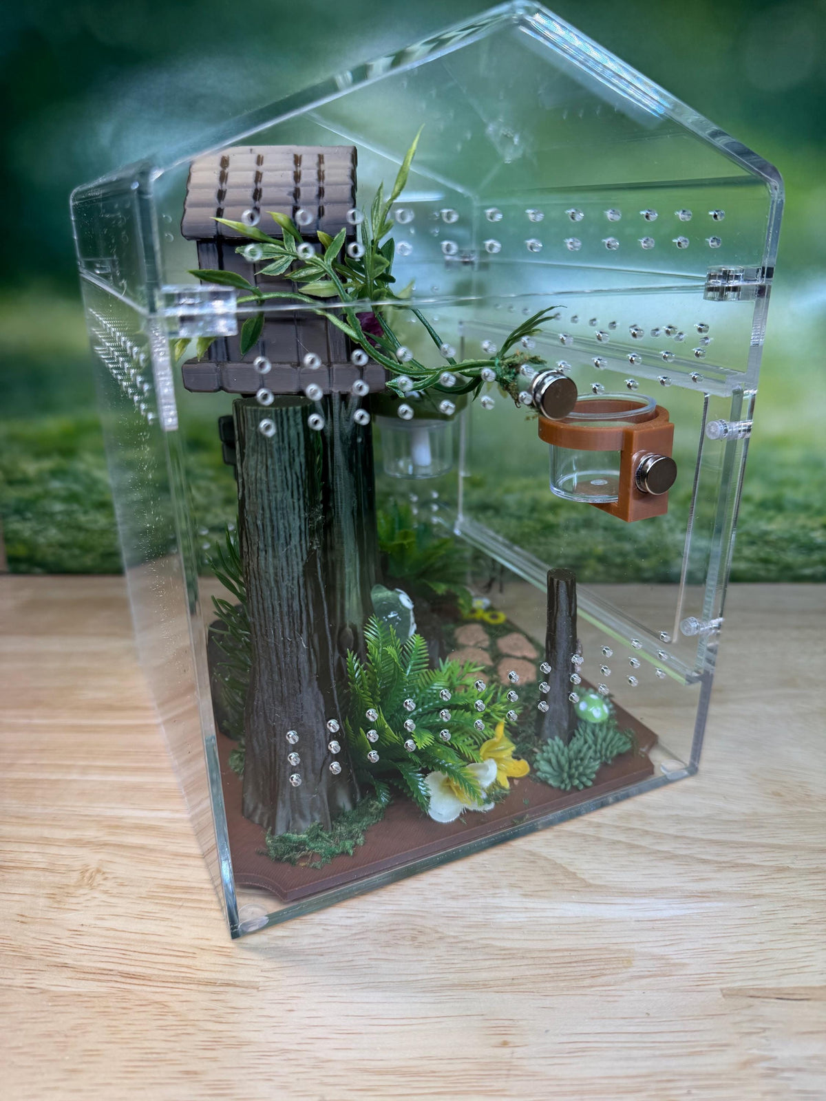 Decorated Acrylic Jumping Spider Enclosure, Magnetic Top and Front Opening Habitat, Large, 5.75x5.75x8