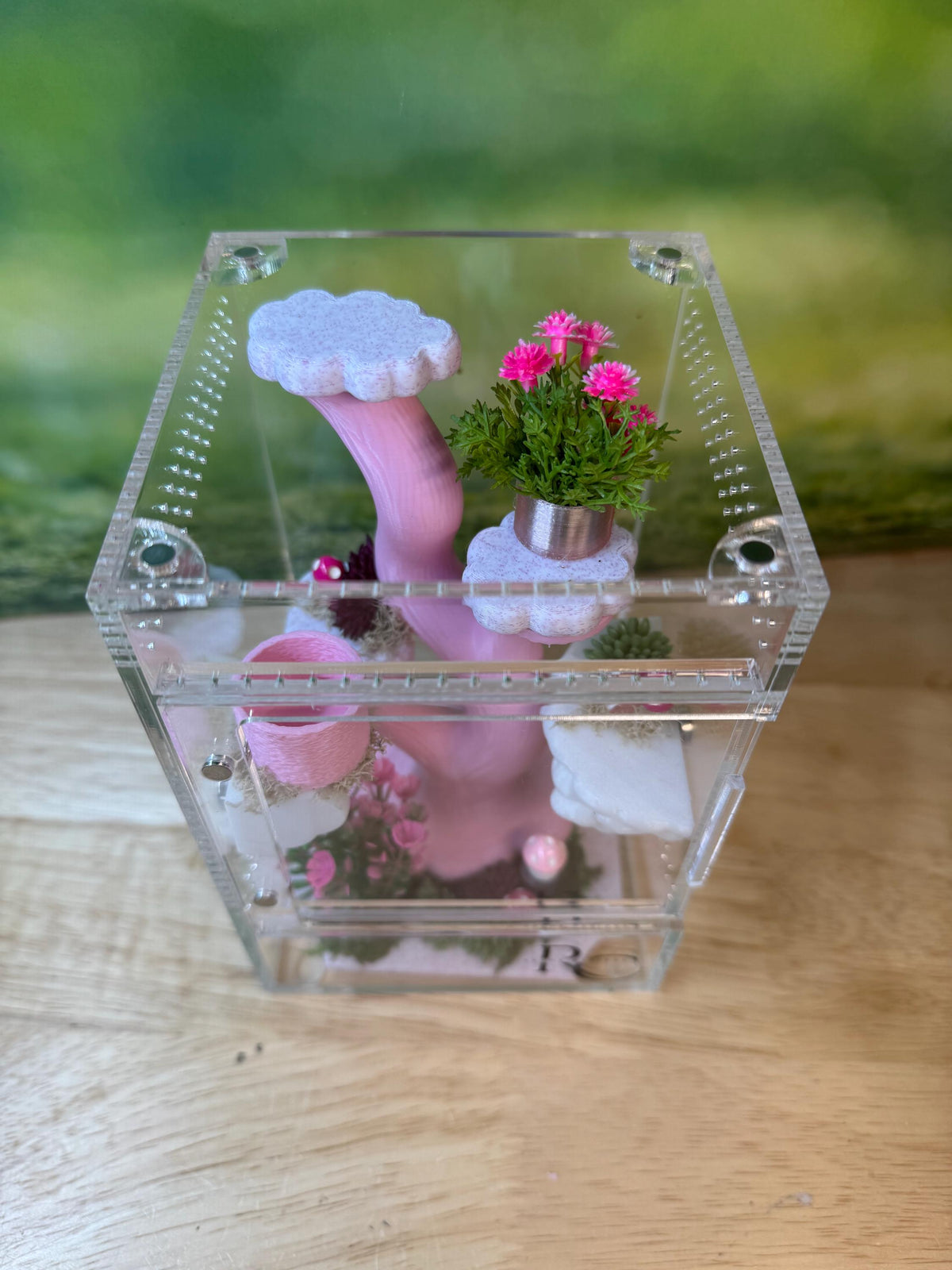 Decorated 4x4x8 Acrylic Jumping Spider Enclosure, Magnetic Top and Front Opening Habitat