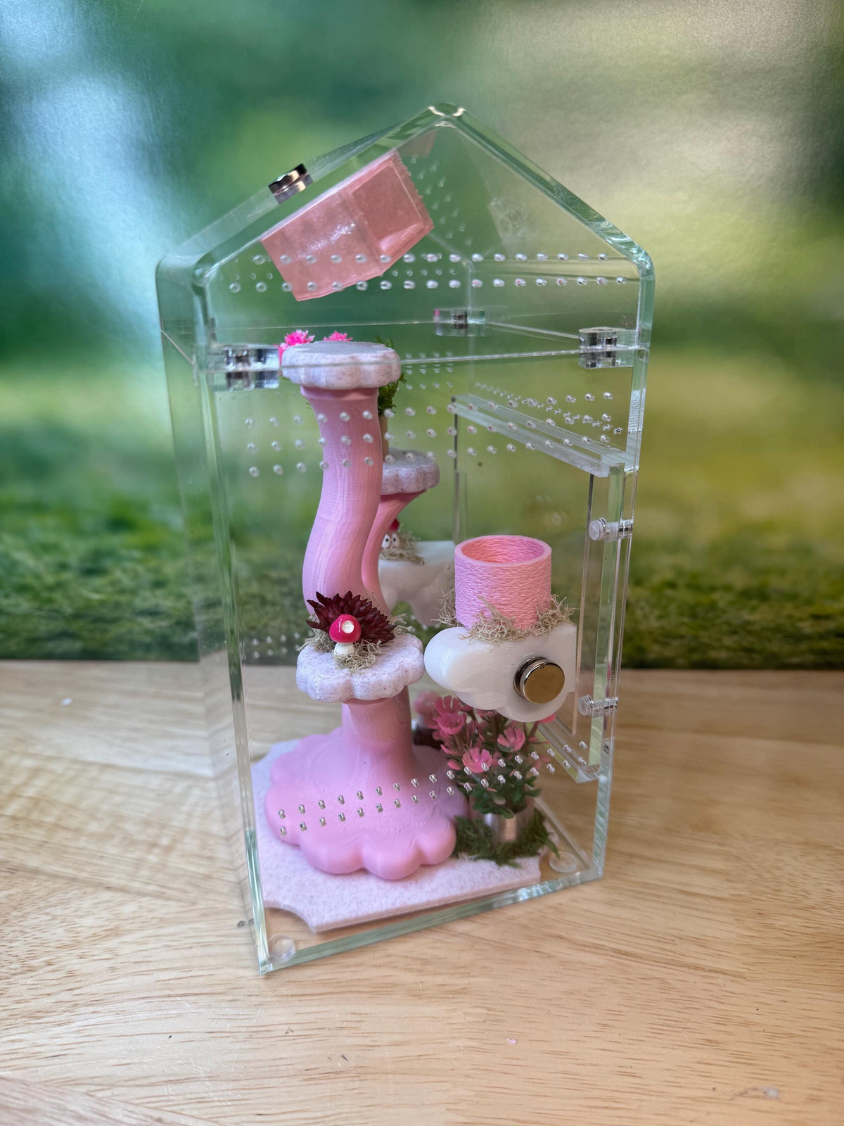 Decorated 4x4x8 Acrylic Jumping Spider Enclosure, Magnetic Top and Front Opening Habitat