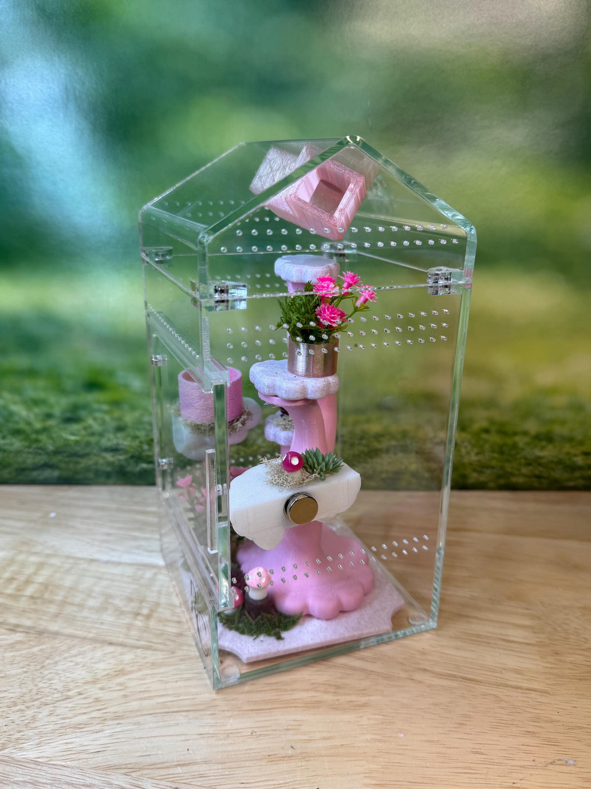 Decorated 4x4x8 Acrylic Jumping Spider Enclosure, Magnetic Top and Front Opening Habitat