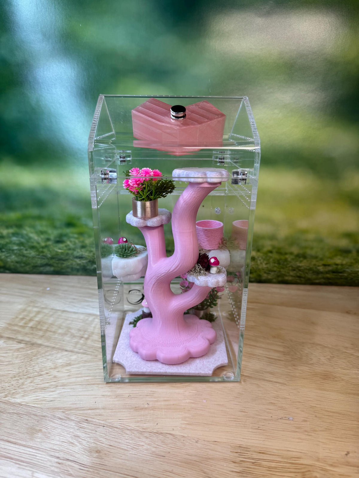 Decorated 4x4x8 Acrylic Jumping Spider Enclosure, Magnetic Top and Front Opening Habitat