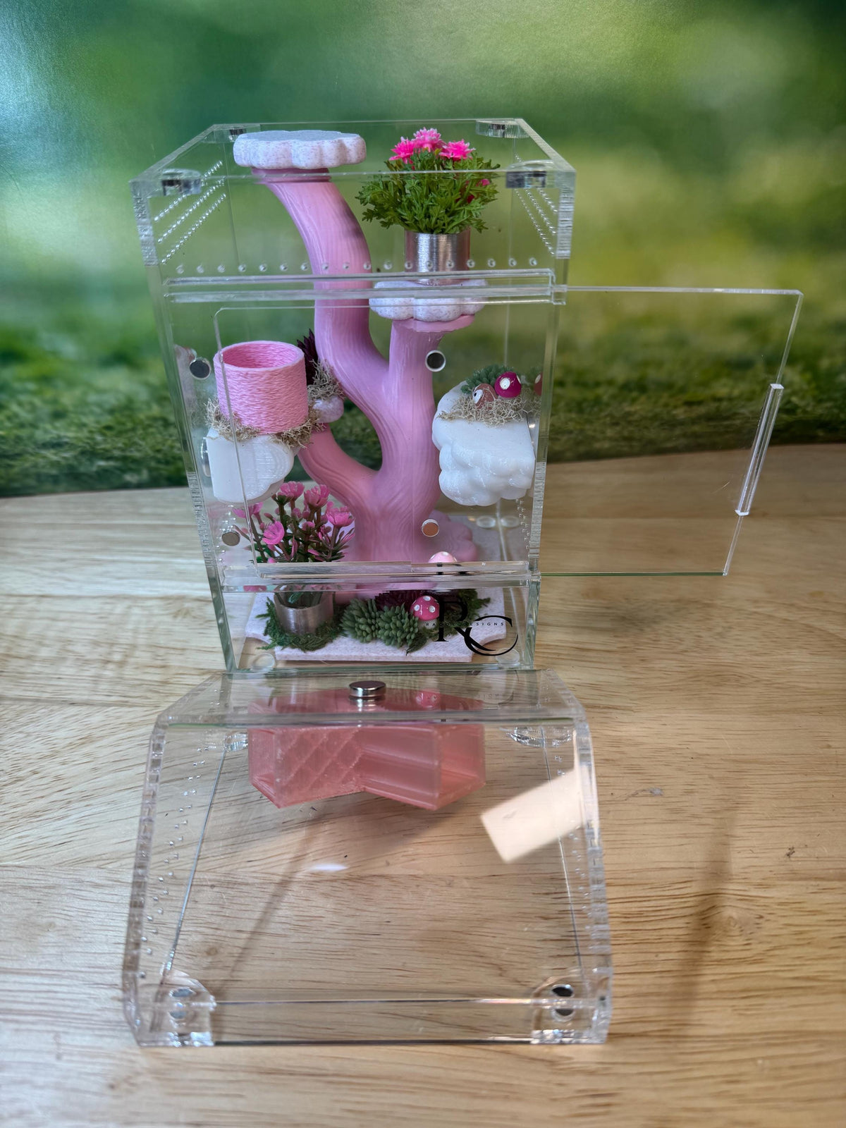 Decorated 4x4x8 Acrylic Jumping Spider Enclosure, Magnetic Top and Front Opening Habitat