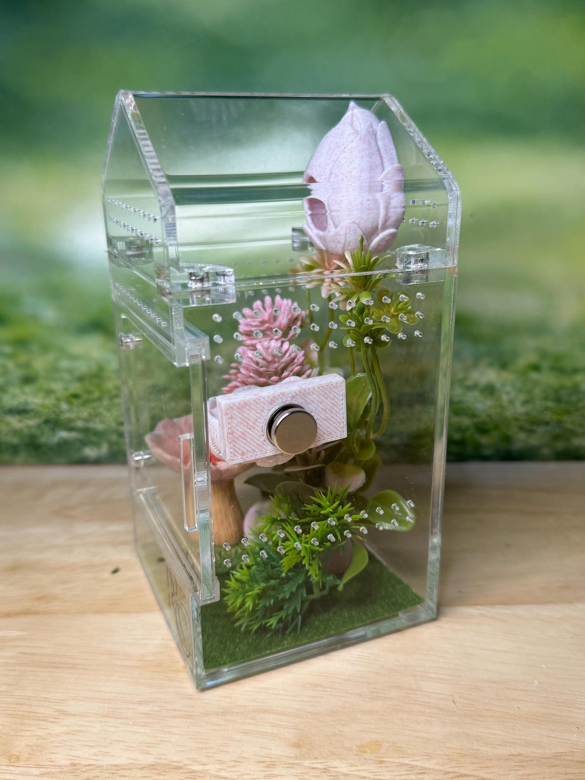 Decorated Acrylic Jumping Spider Enclosure, Magnetic Top and Front Opening Habitat, Small, 3x3x6