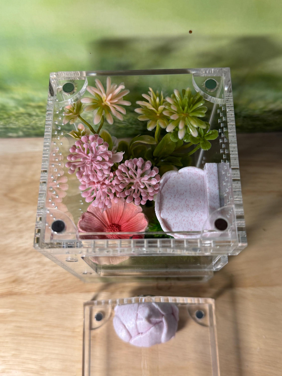 Decorated Acrylic Jumping Spider Enclosure, Magnetic Top and Front Opening Habitat, Small, 3x3x6