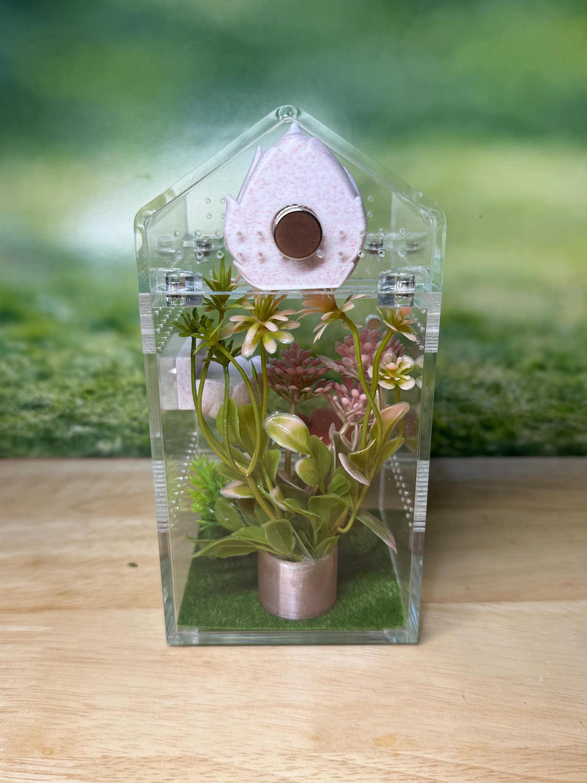 Decorated Acrylic Jumping Spider Enclosure, Magnetic Top and Front Opening Habitat, Small, 3x3x6