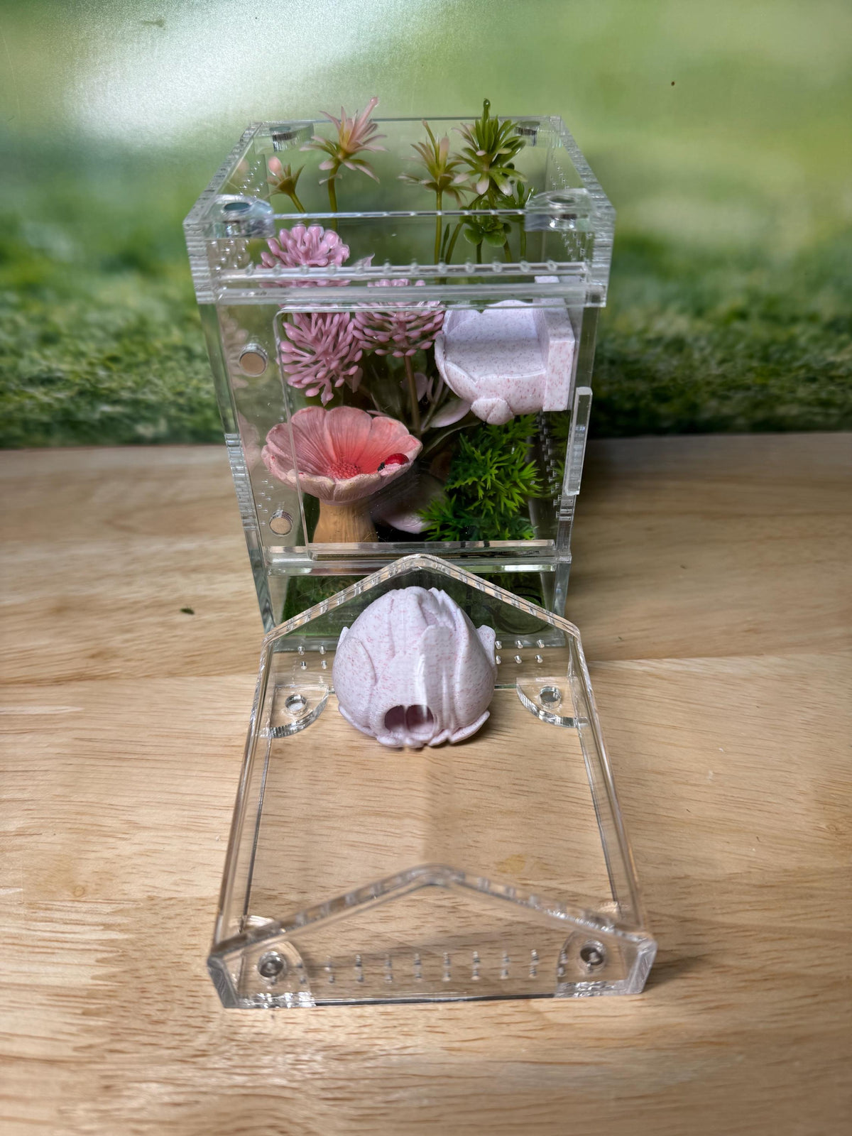 Decorated Acrylic Jumping Spider Enclosure, Magnetic Top and Front Opening Habitat, Small, 3x3x6