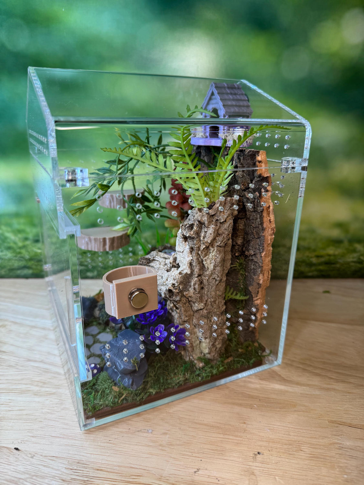Decorated Acrylic Jumping Spider Enclosure, Magnetic Top and Front Opening Habitat, Large, 5.75x5.75x8