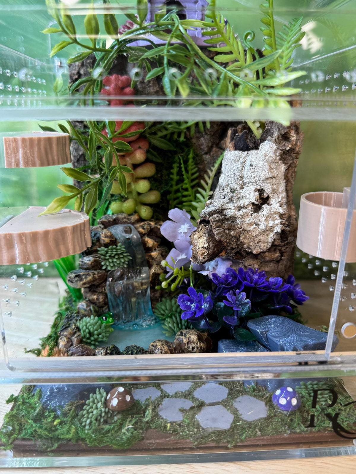 Decorated Acrylic Jumping Spider Enclosure, Magnetic Top and Front Opening Habitat, Large, 5.75x5.75x8