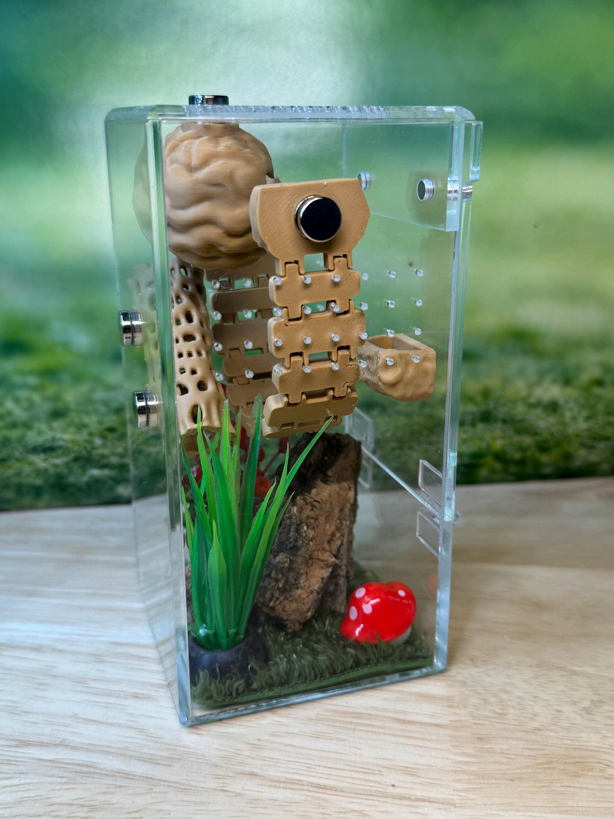 Acrylic Jumping Spider Enclosure, Front Opening Habitat (3x3x6)