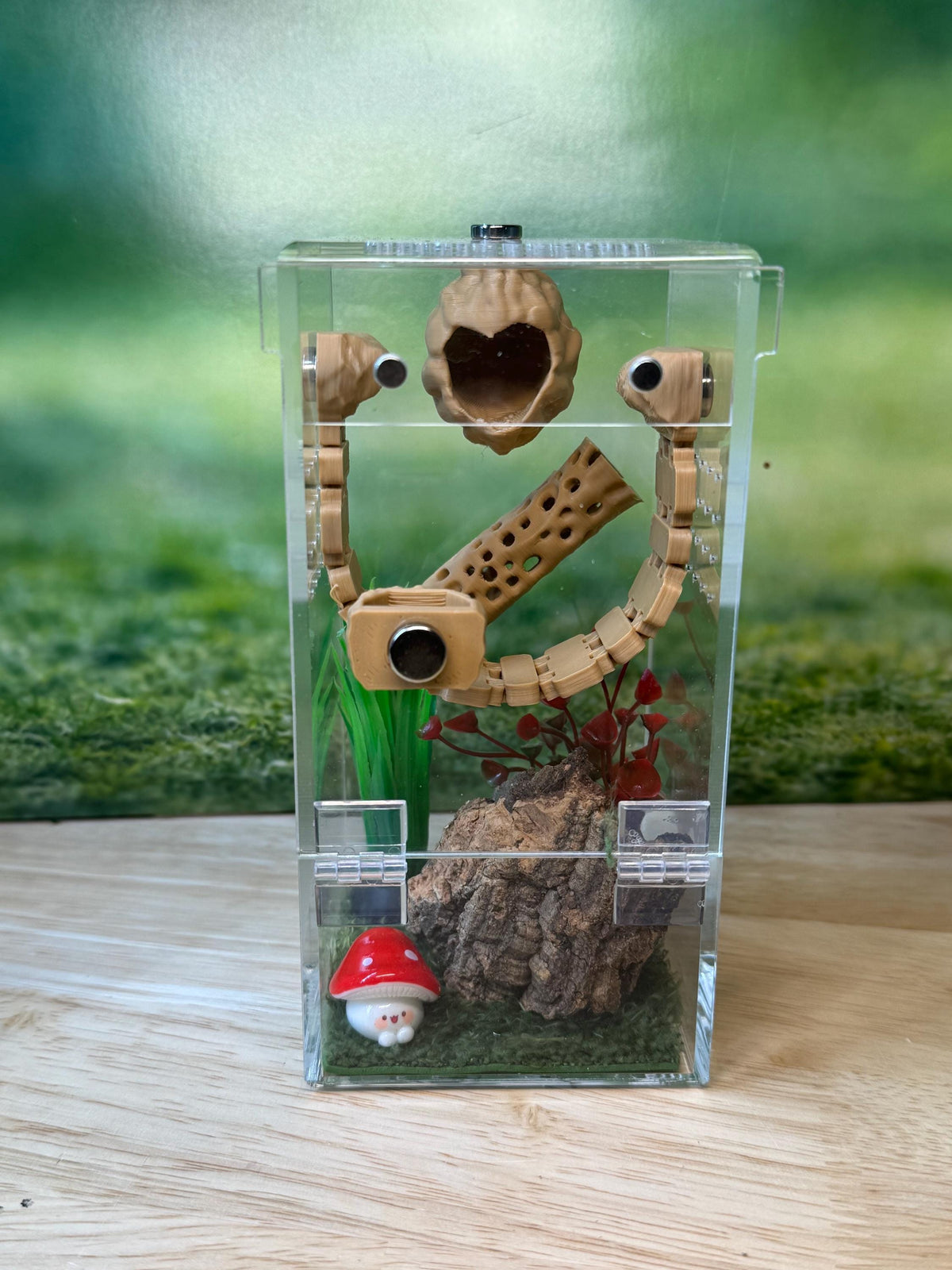 Acrylic Jumping Spider Enclosure, Front Opening Habitat (3x3x6)