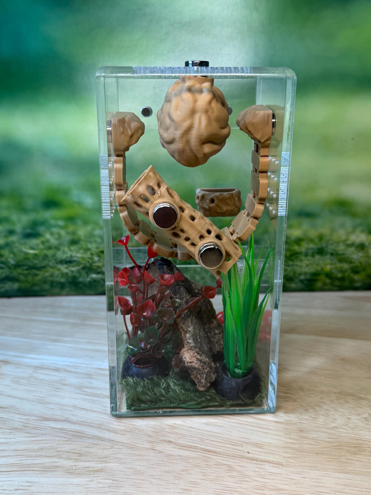 Acrylic Jumping Spider Enclosure, Front Opening Habitat (3x3x6)