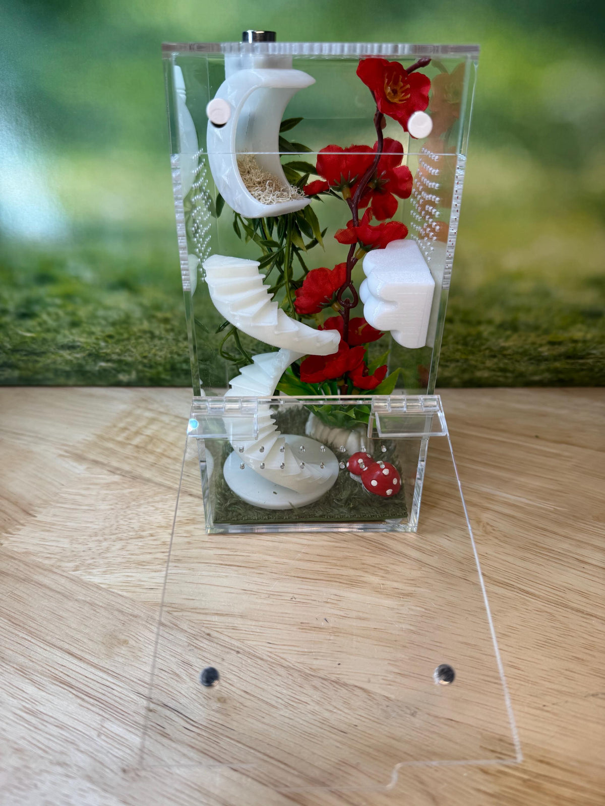 Glow in the dark Acrylic Jumping Spider Enclosure, Front Opening Habitat (3.5x3.5x7)