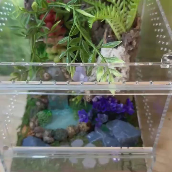 Decorated Acrylic Jumping Spider Enclosure, Magnetic Top and Front Opening Habitat, Large, 5.75x5.75x8