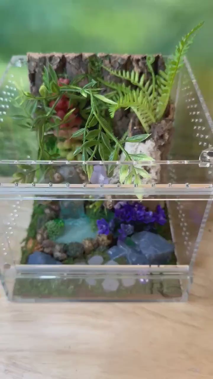Decorated Acrylic Jumping Spider Enclosure, Magnetic Top and Front Opening Habitat, Large, 5.75x5.75x8