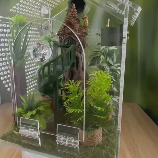 Decorated Acrylic Jumping Spider Enclosure, Front Opening Habitat (6.2x6x5)