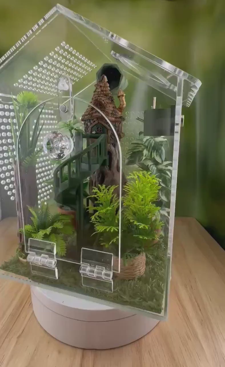 Decorated Acrylic Jumping Spider Enclosure, Front Opening Habitat (6.2x6x5)